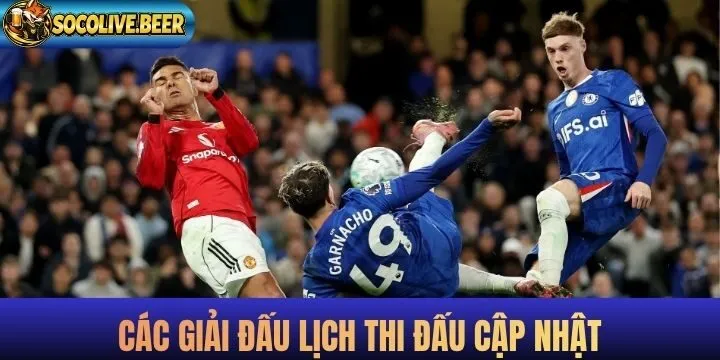 Tổng hợp các giải đấu nổi bật có mặt trong lịch thi đấu