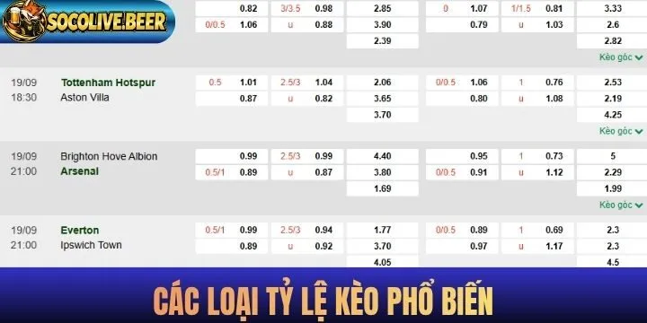 Top 5 tỷ lệ kèo phổ biến nhất chơi là có thưởng