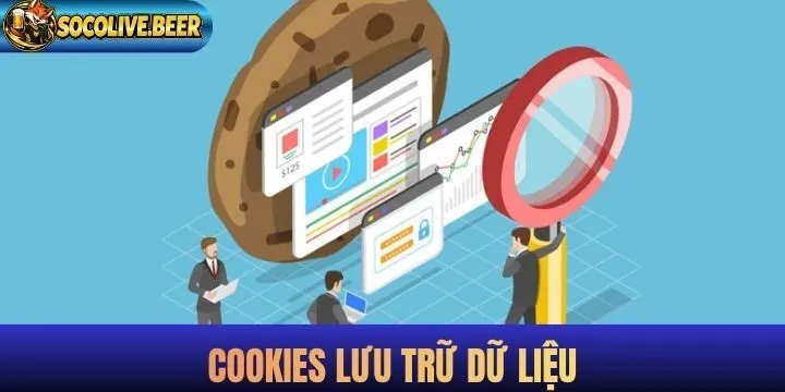 Cookie có thể lưu trữ những loại dữ liệu như thế nào?