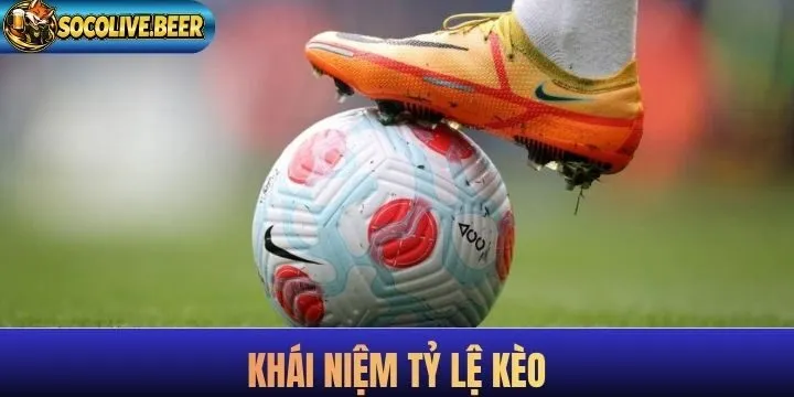 Khái niệm về tỷ lệ kèo mới nhất bạn nên nhớ 