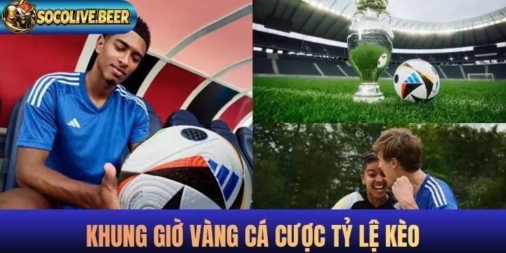 Khung giờ “vàng” để chơi cá cược theo tỷ lệ kèo 