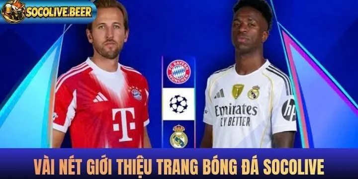 Socolive tv nhận đánh giá vô cùng tích cực trên thị trường