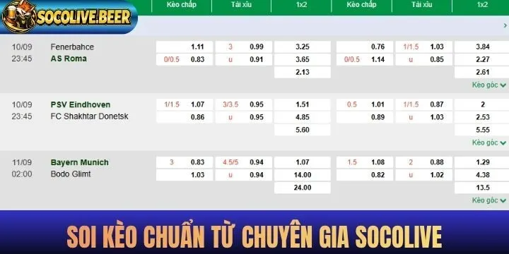 Socolive gây ấn tượng bởi sự chỉn chu về mọi mặt