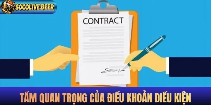 Tính thiết yếu chính sách điều khoản và điều kiện được triển khai 
