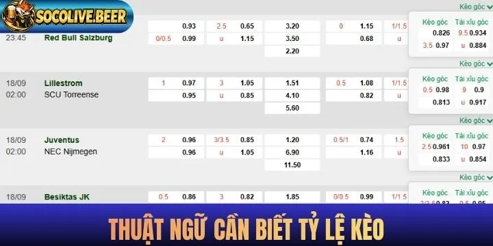 Thuật ngữ quan trọng khi theo dõi tỷ lệ kèo online