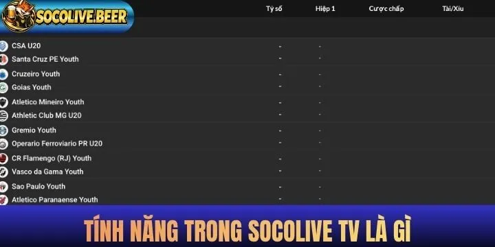 Tính năng bổ trợ trong Socolive tv là gì?
