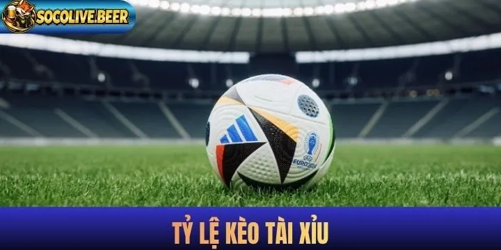 Tips hay newbie nên thử khi theo dõi tỷ lệ kèo online