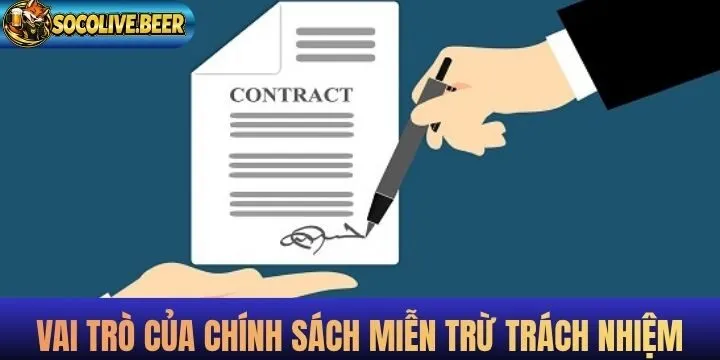 Website xây dựng nội dung miễn trừ trách nhiệm 