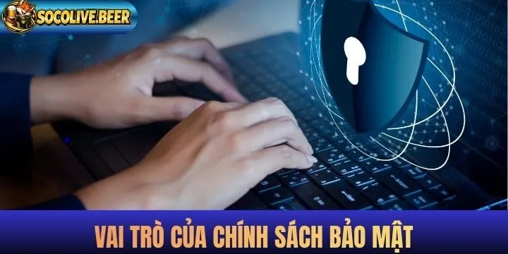 Chính sách bảo mật góp phần giúp website tối ưu trải nghiệm